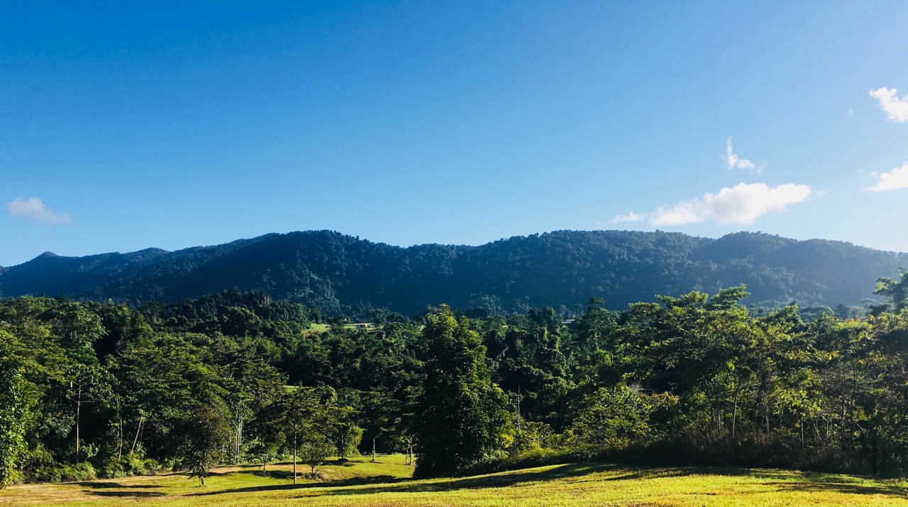 The Misty Mountains Eco Lodge view