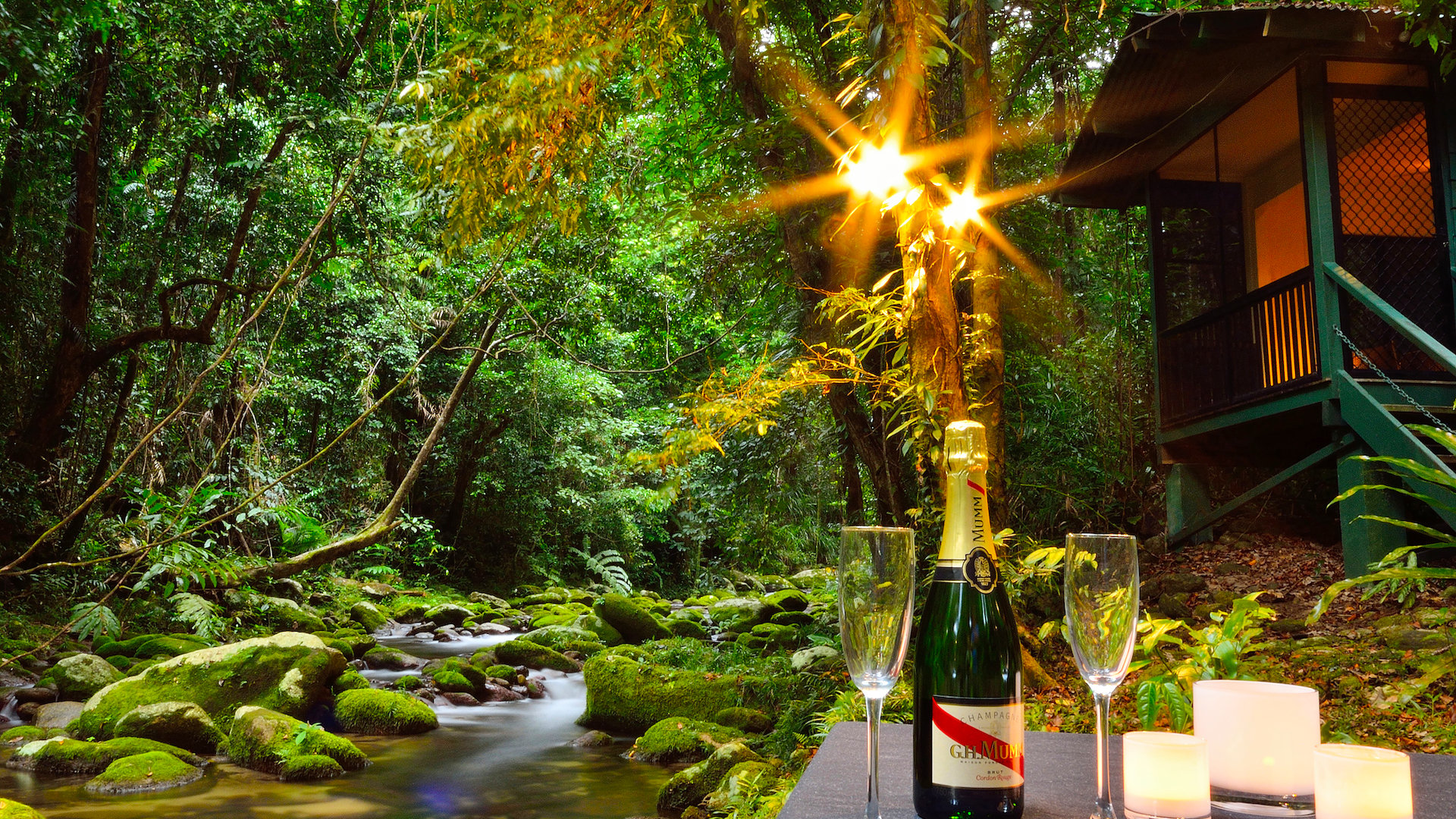 Misty Mountains Rainforest Retreat & Honeymoon Destination