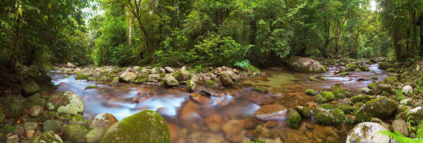 a weekend to our romantic, couples at rainforest retreat